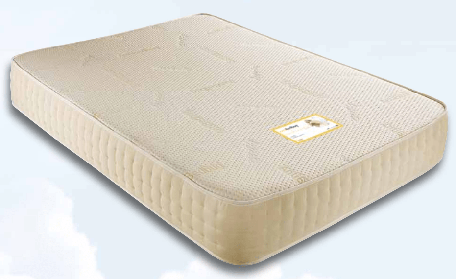 Anti Bed Bug Memory Foam Mattress