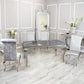 Silver Chrome Dinning Table with Nicole Chairs